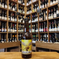 Mage Malt – Illumination–...